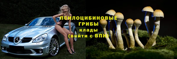 прущие крисы Абаза