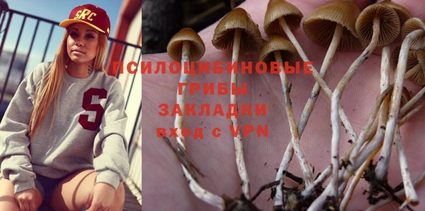 стаф Абинск