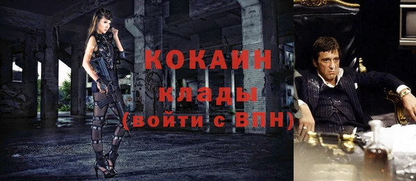стаф Абинск