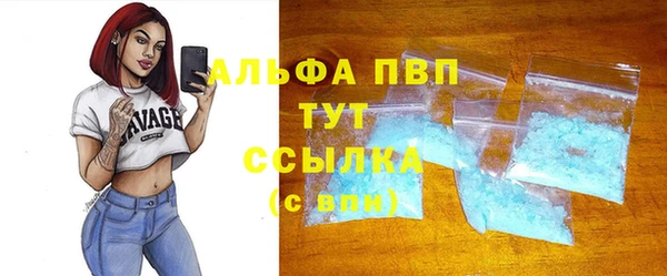 стаф Абинск