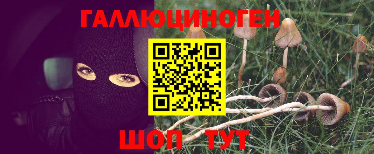 Псилоцибиновые грибы мухоморы Великий Новгород